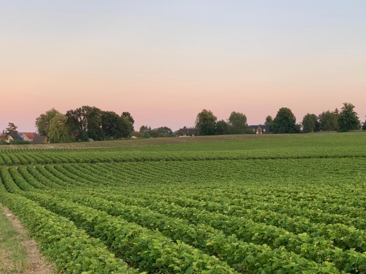 Reet Und Meer Beckerwitz Hohenkirchen  Exteriör bild